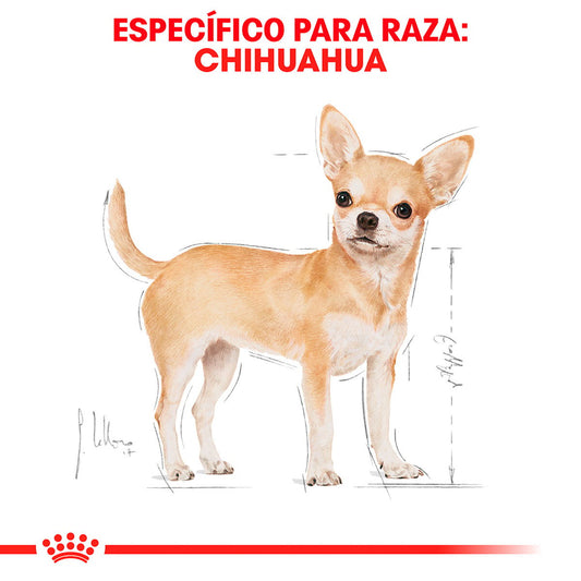 Alimento Royal Canin BHN Chihuahua Adulto