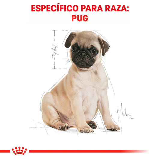 Alimento Royal Canin BHN Pug Puppy 1.13kg (Bajo pedido)