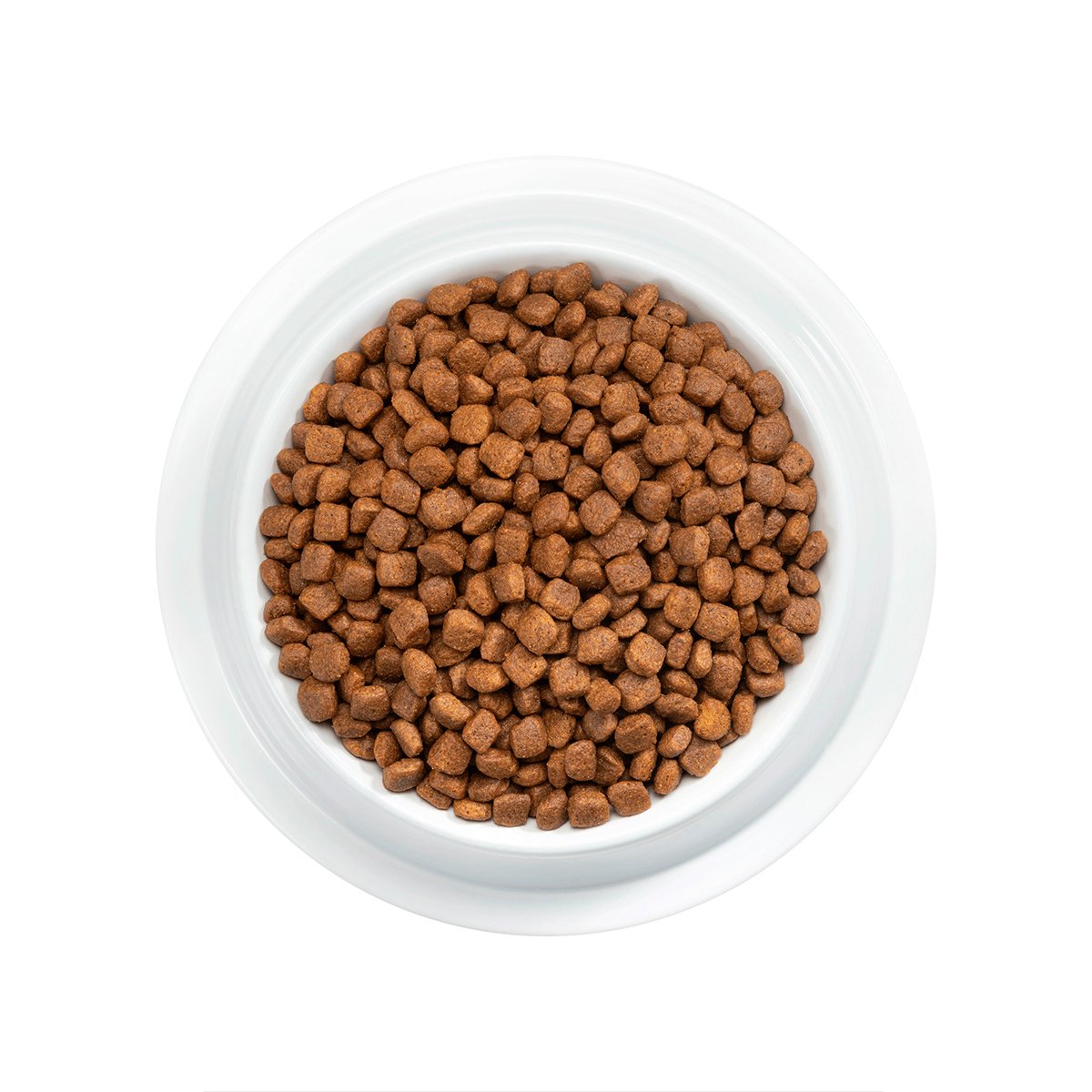 Alimento Pro Plan Kitten Pollo y Arroz