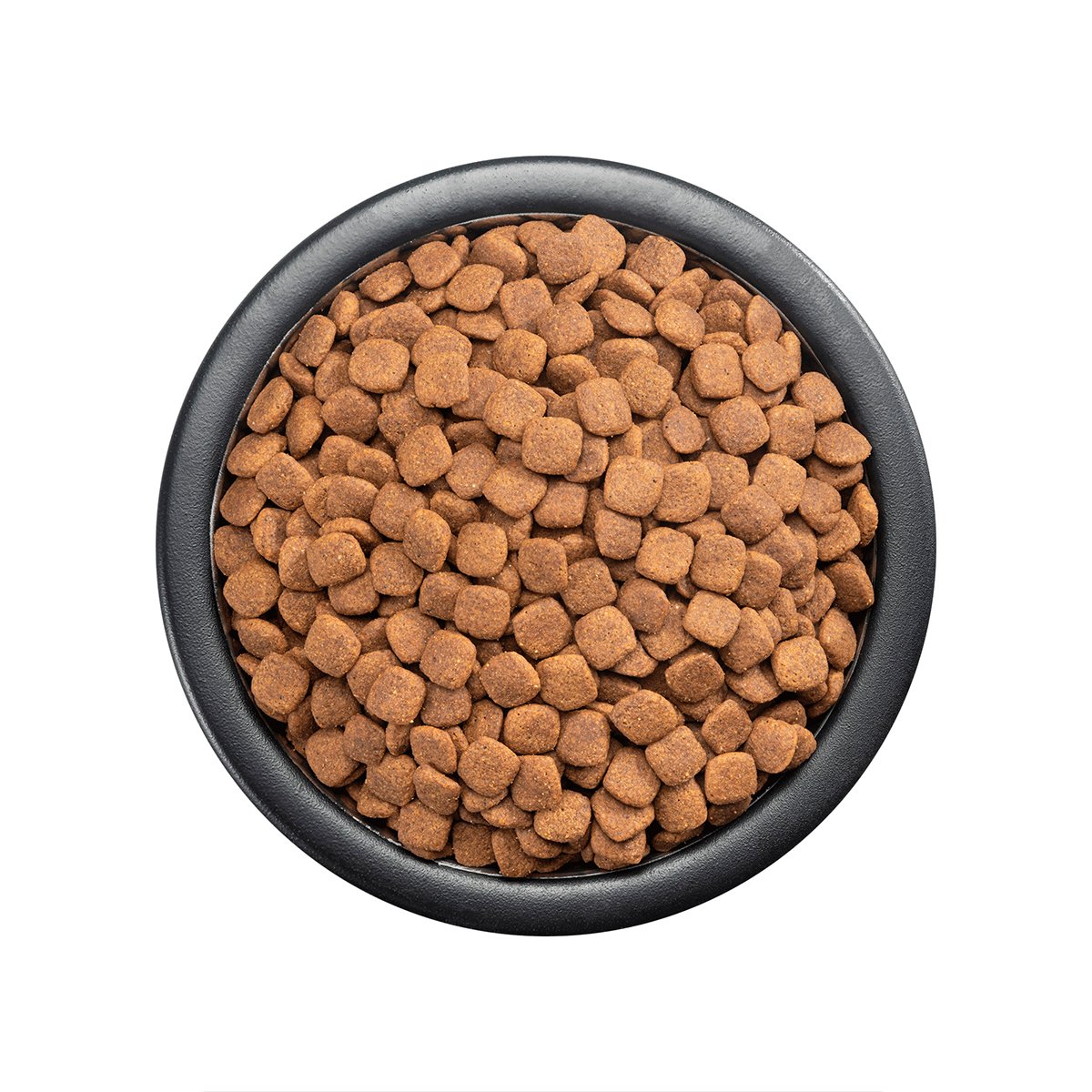 Alimento Pro Plan Active Mind R. Med/Gdes