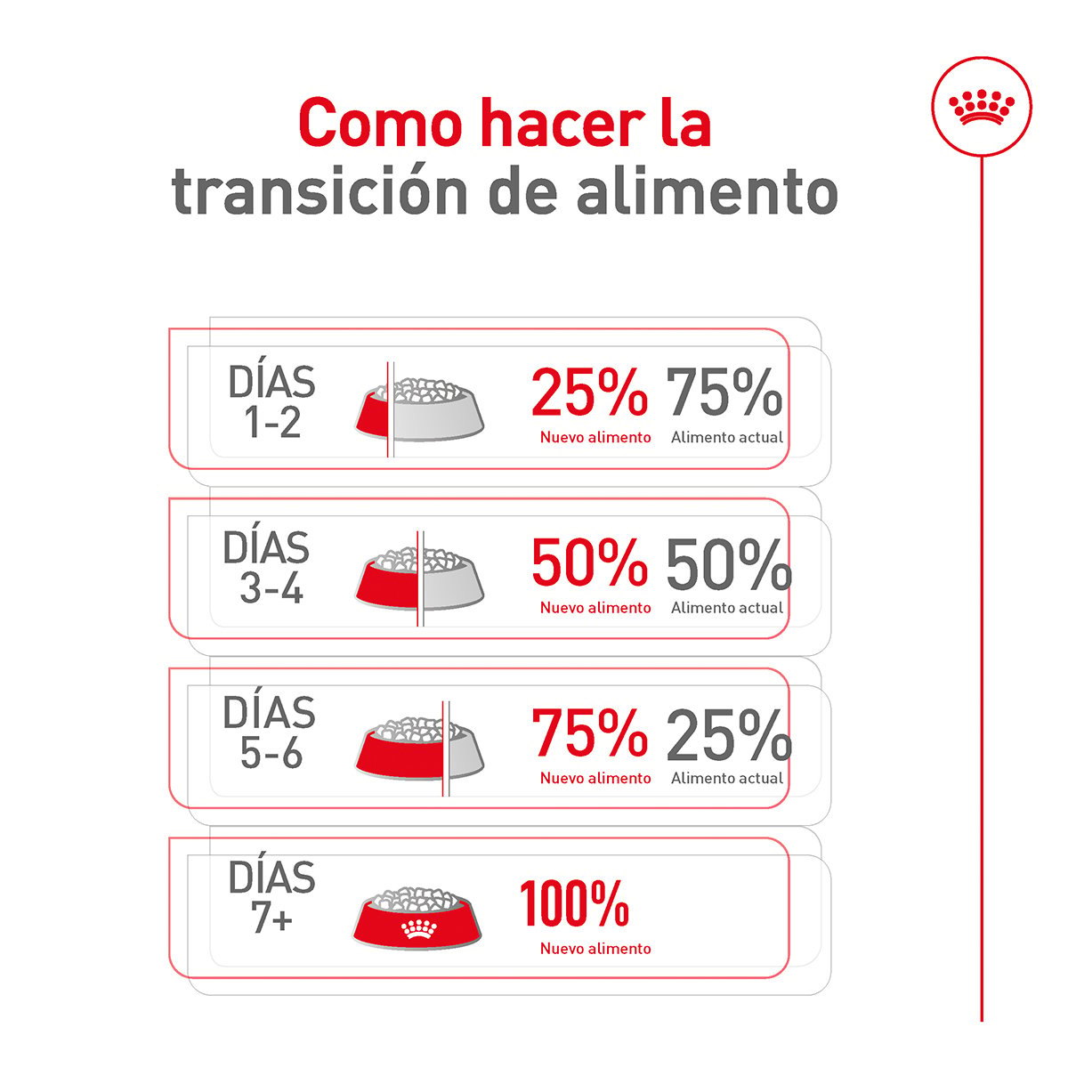 Alimento Royal Canin Adulto Razas Pequeñas
