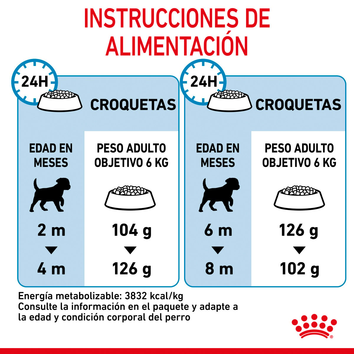 Alimento Royal Canin Para Perro Cachorro Raza Pequeña