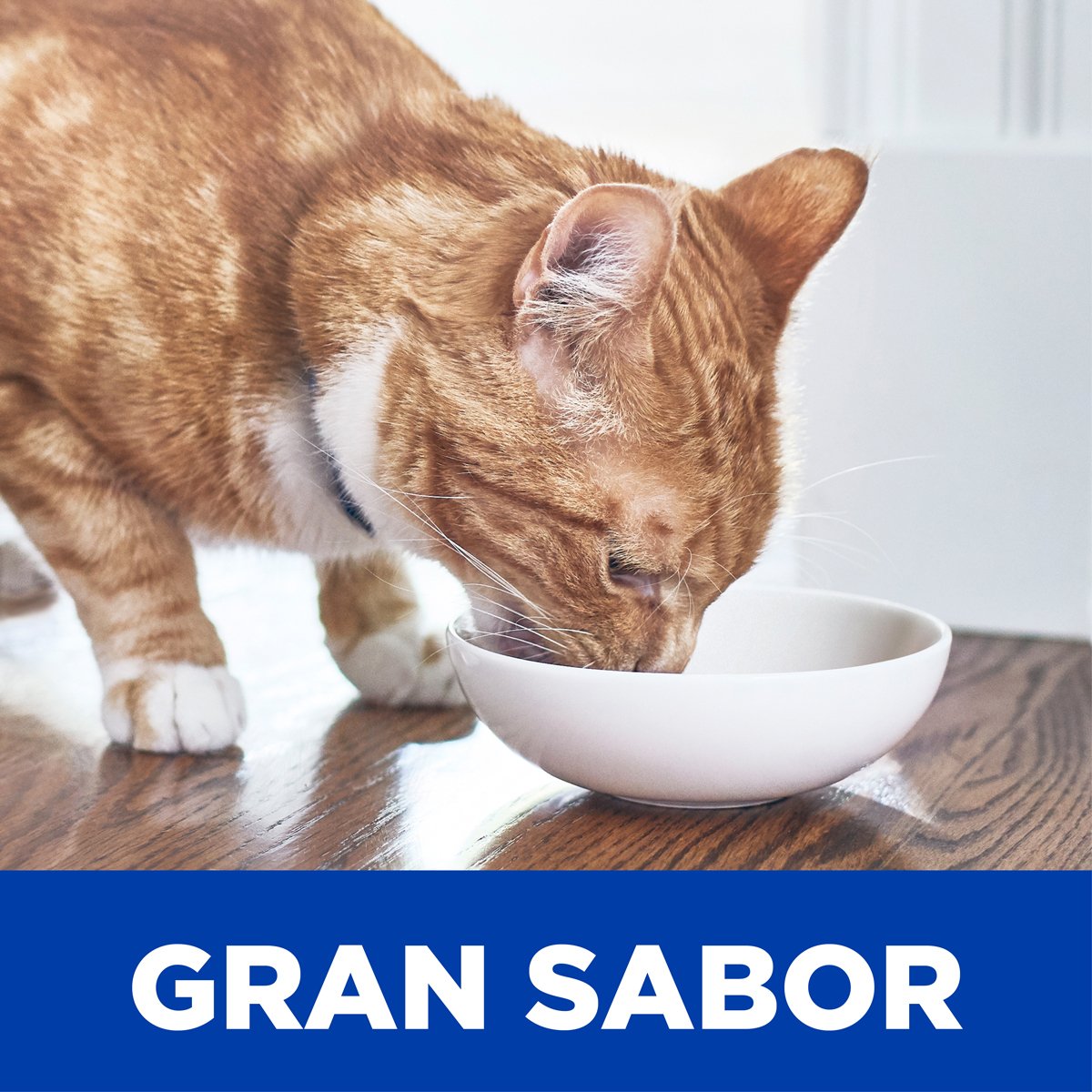 Alimento Hill's Prescription Diet r/d Reducción de Peso Para Gato 3.9kg (Bajo pedido)