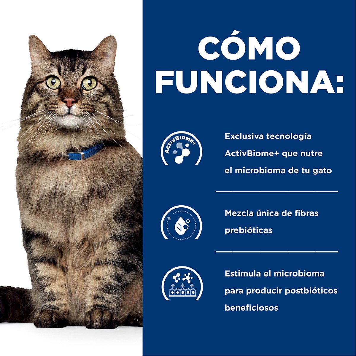 Alimento Hill's Prescription Diet Gastrointestinal Biome Para Gato 1.81kg