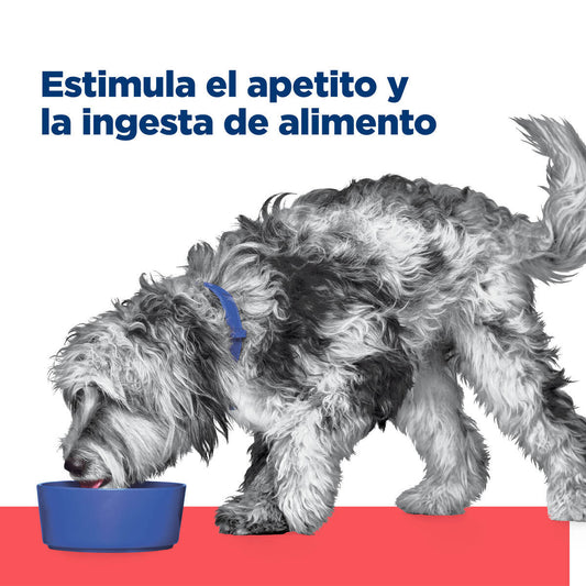 Alimento Hill's Prescription Diet Onc Care Para Perro 2.72kg (UNICAMENTE BAJO PEDIDO)