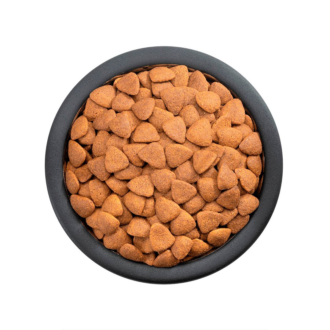 Alimento Pro Plan Adulto Razas Grandes 13 Kg