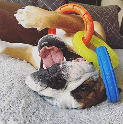 Nerf Dog Remolcador de 3 Anillos TPR