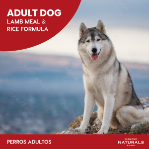 Alimento Diamond Naturals Cordero y Arroz Adulto Para Perro (Bajo pedido)