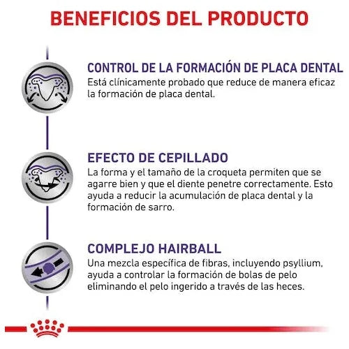 Alimento Royal Canin Para Gato Dental (UNICAMENTE BAJO PEDIDO)