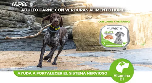 Nupec Lata Adulto 100 Gr