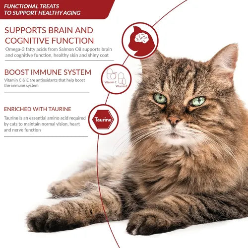 Churu Premio Cremoso Natural para Gato Senior 10+ Receta Atún 4 pzs