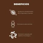 Nupec Alimento Senior Razas Medianas y Grandes