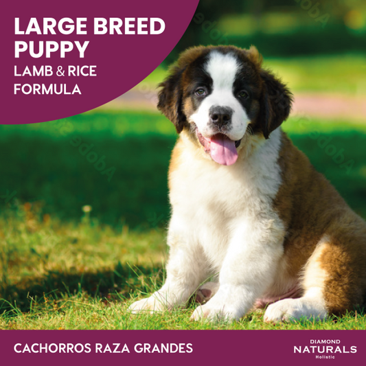 Alimento Diamond Naturals Cordero y Arroz Cachorro Razas Grandes 18.14 KG (Bajo pedido)