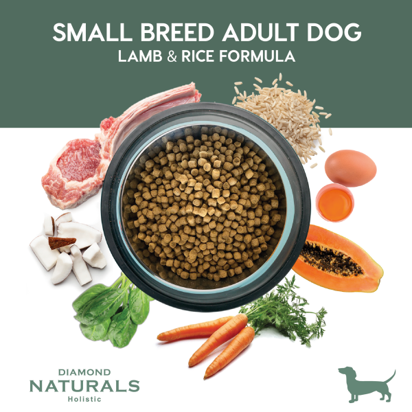 Alimento Diamond Naturals Cordero y Arroz Adulto Para Perro Razas Pequeñas (Bajo pedido)