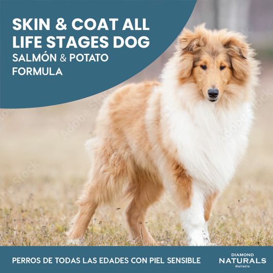 Alimento Diamond Naturals Skin&Coat Salmon Y Papa Para Perro