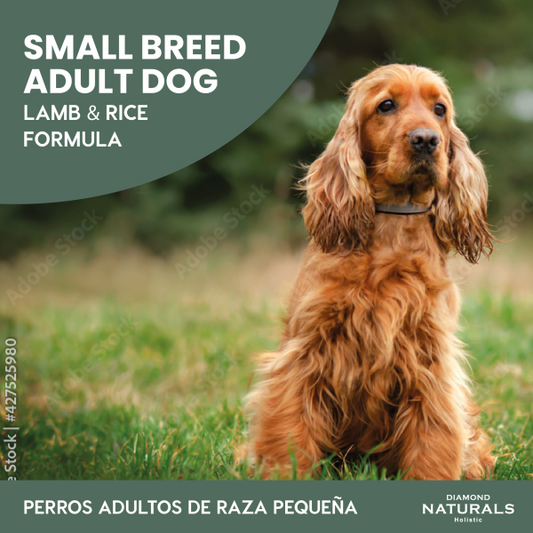 Alimento Diamond Naturals Cordero y Arroz Adulto Para Perro Razas Pequeñas (Bajo pedido)