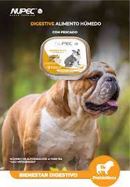 Nupec Lata Perro Digestive 100 Gr