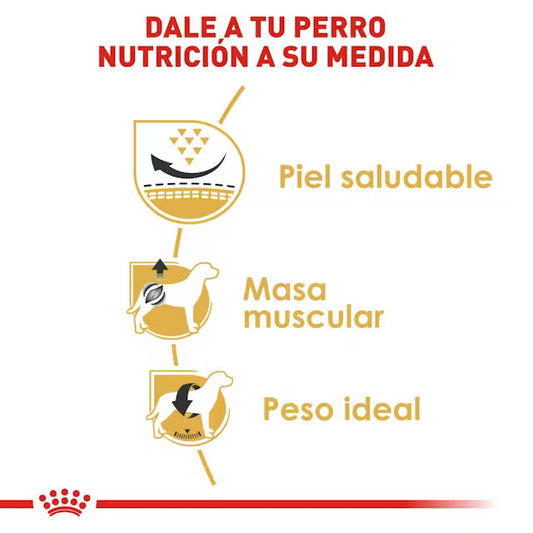Alimento Royal Canin BHN Pug Adulto (UNICAMENTE BAJO PEDIDO)