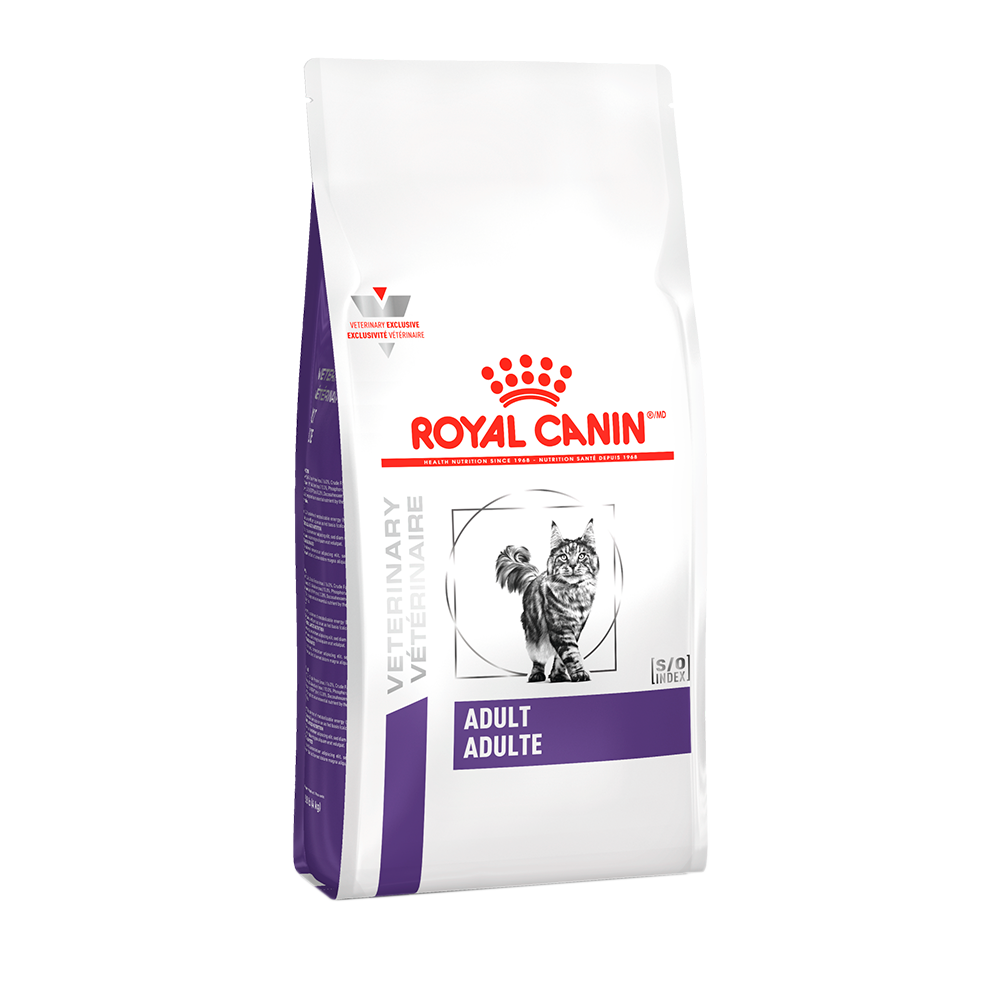 Alimento Royal Canin Para Gato Adulto