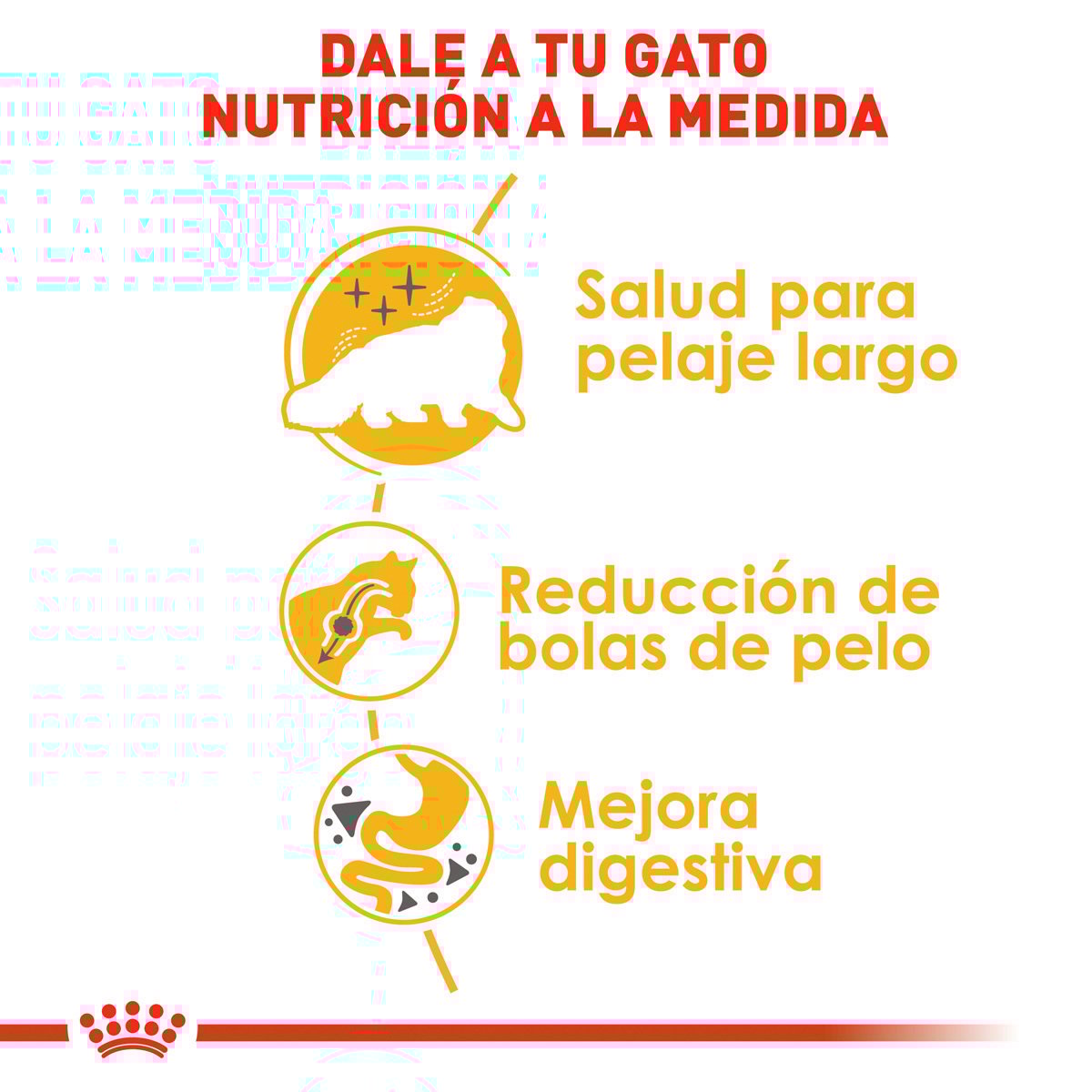 Alimento Royal Canin Persa Adulto 3.18kg (Bajo pedido)