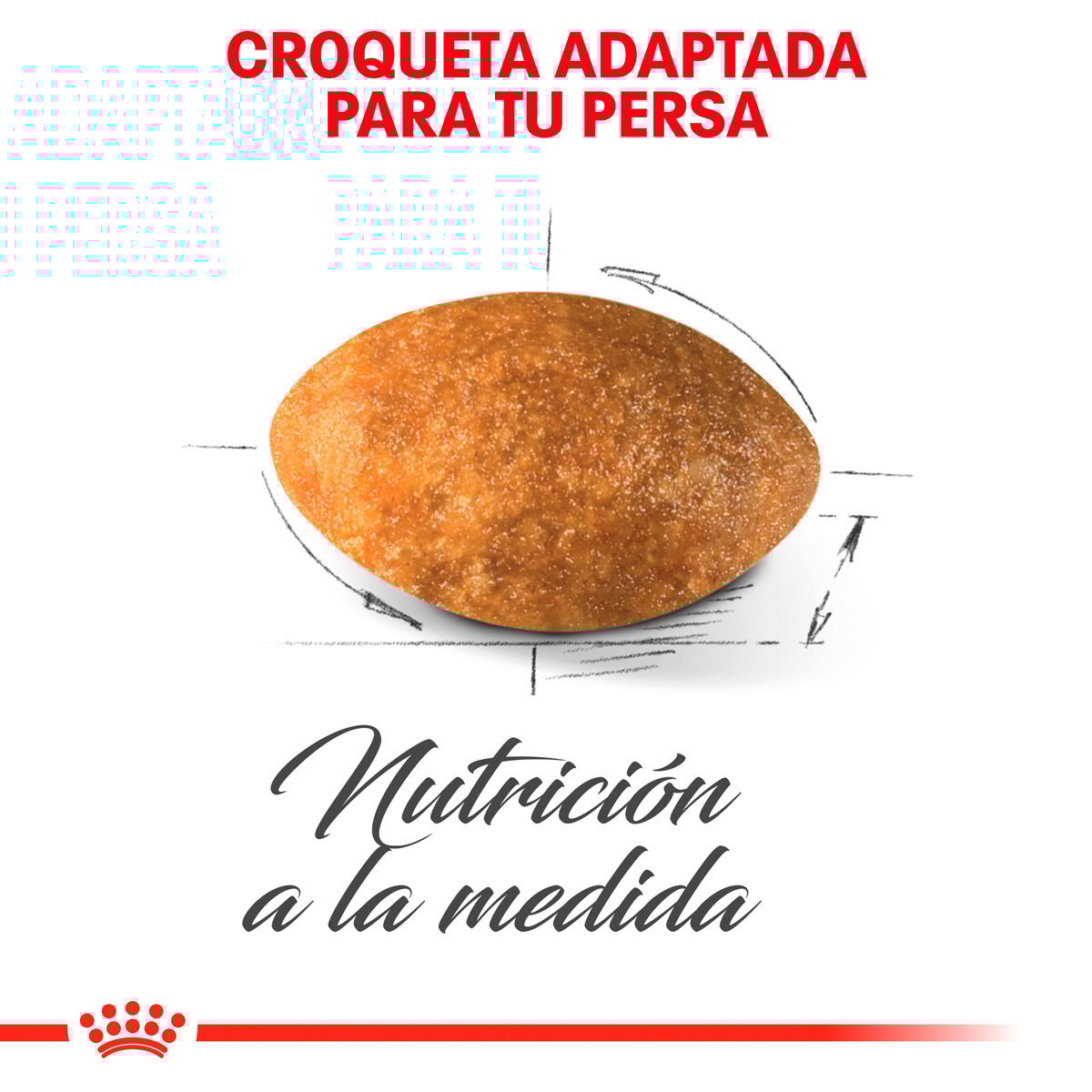 Alimento Royal Canin Persa Adulto 3.18kg (Bajo pedido)