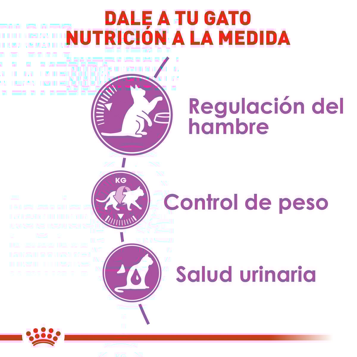 Alimento Seco para Gato Adulto Control de Apetito