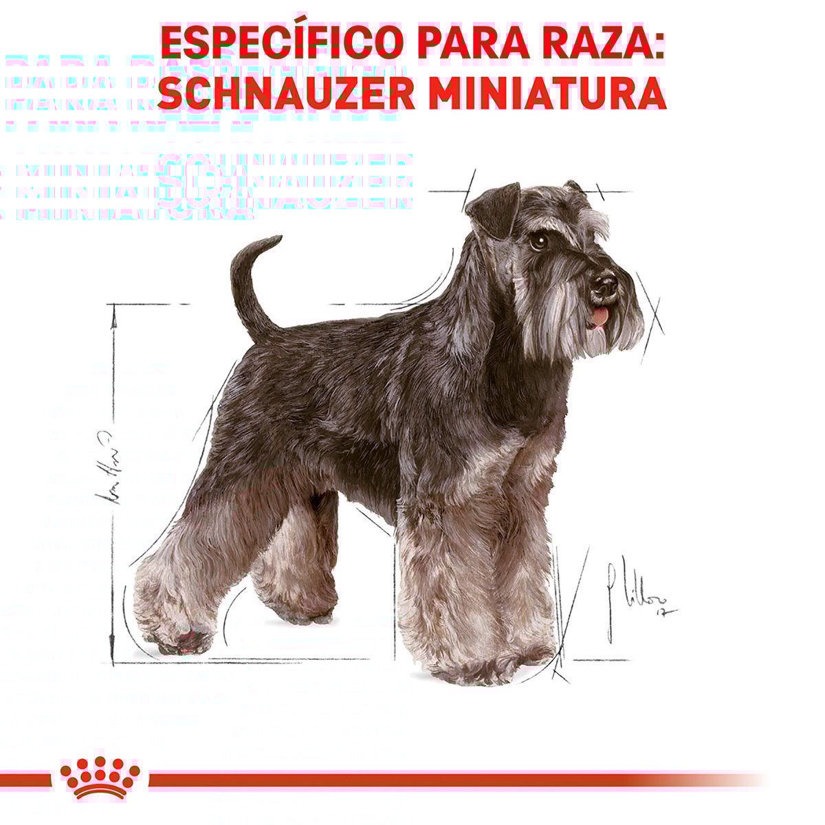 Alimento Royal Canin BHN Miniature Schnauzer Adulto 4.54kg (Bajo pedido)