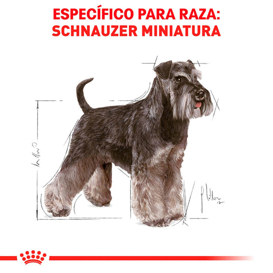 Alimento Royal Canin BHN Miniature Schnauzer Adulto 4.54kg (Bajo pedido)