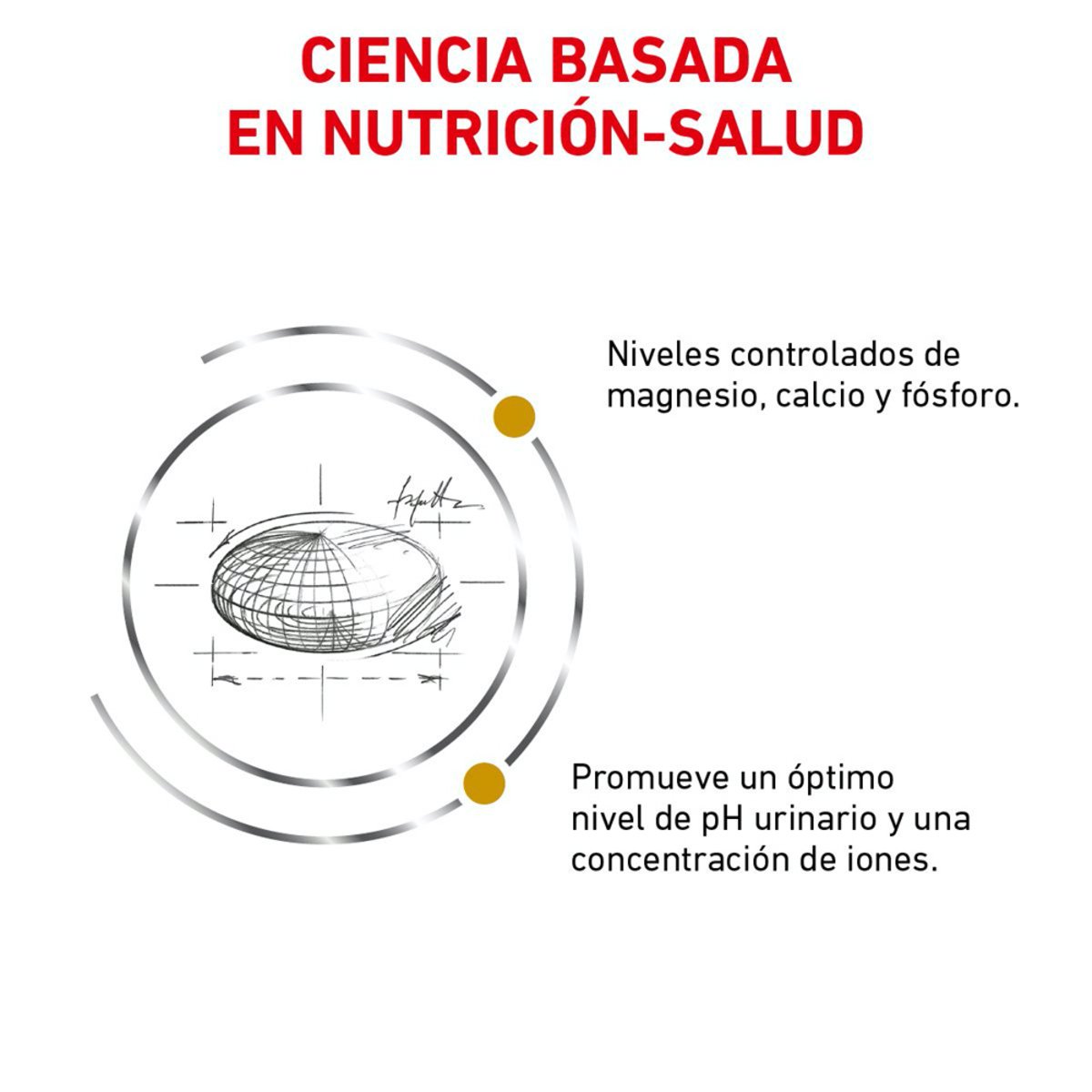 Alimento Royal Canin Urinary SO Para Gato