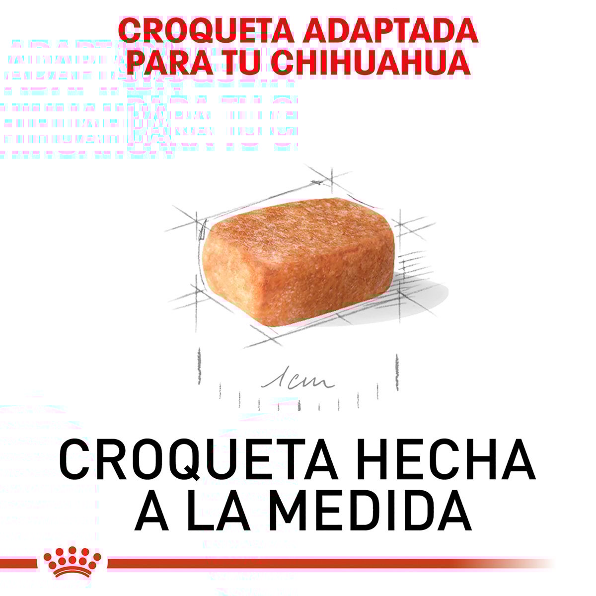 Alimento Royal Canin BHN Chihuahua Puppy 1.13kg (Bajo pedido)