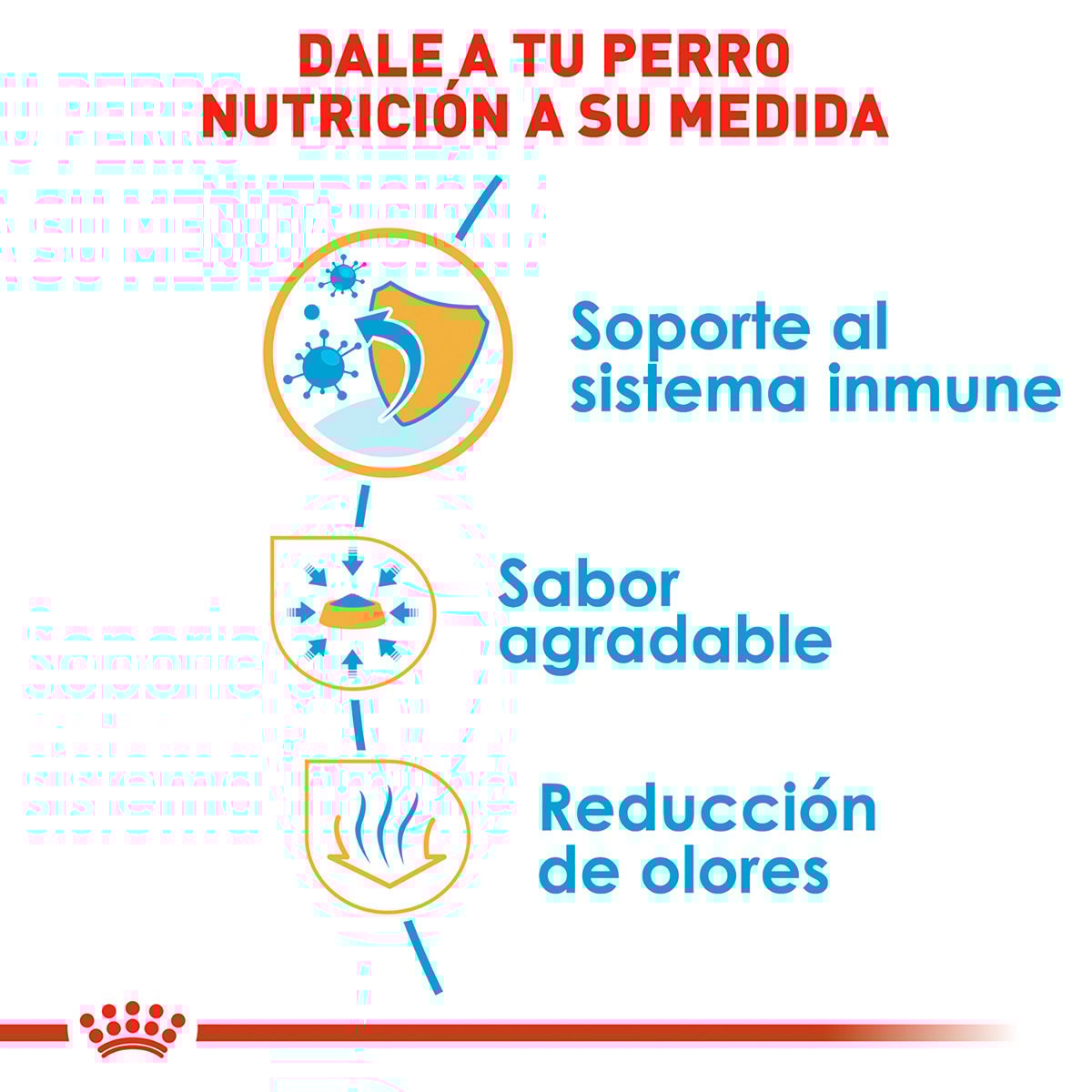 Alimento Royal Canin BHN Chihuahua Puppy 1.13kg (Bajo pedido)