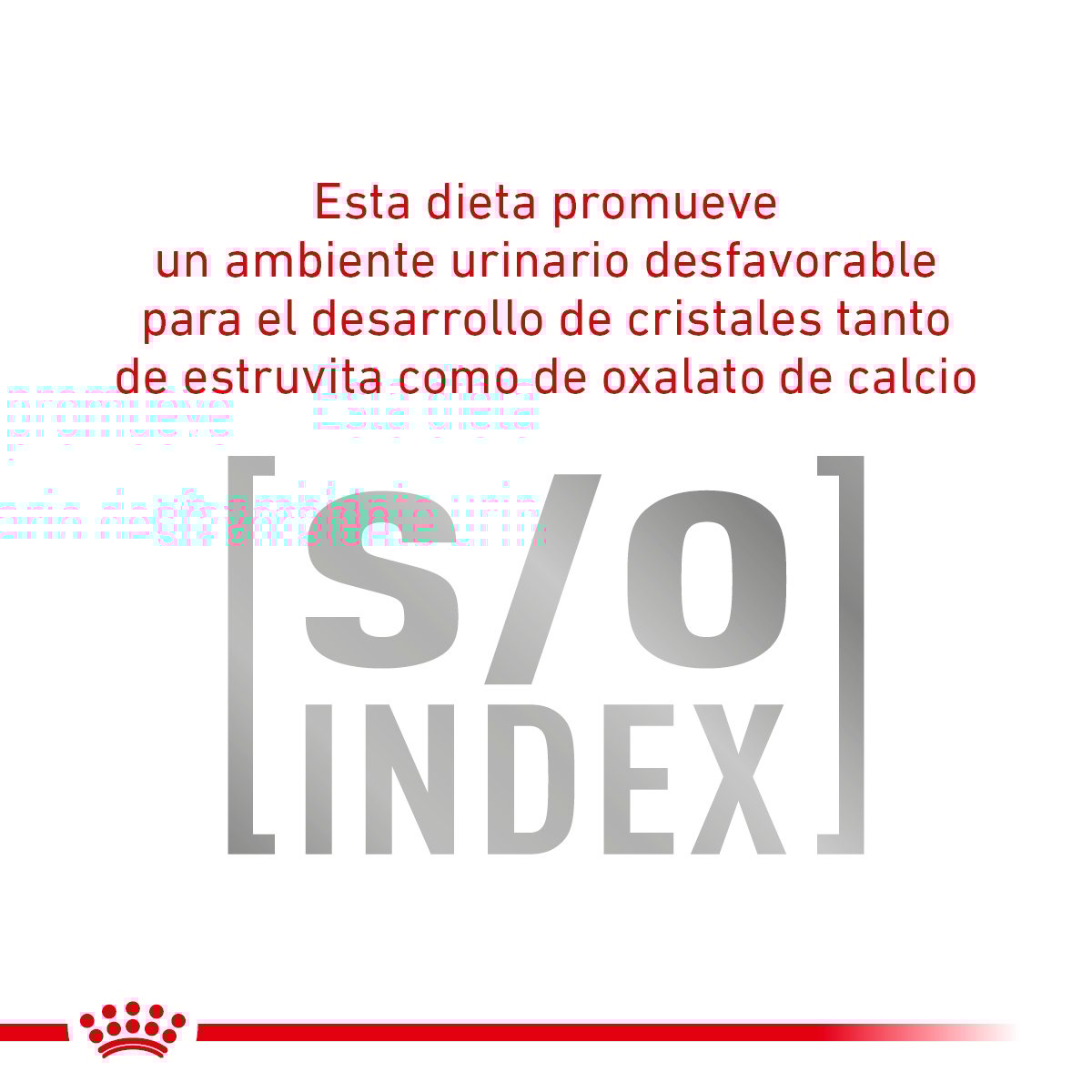 Alimento Royal Canin Urinary SO Para Perro Lata 385g