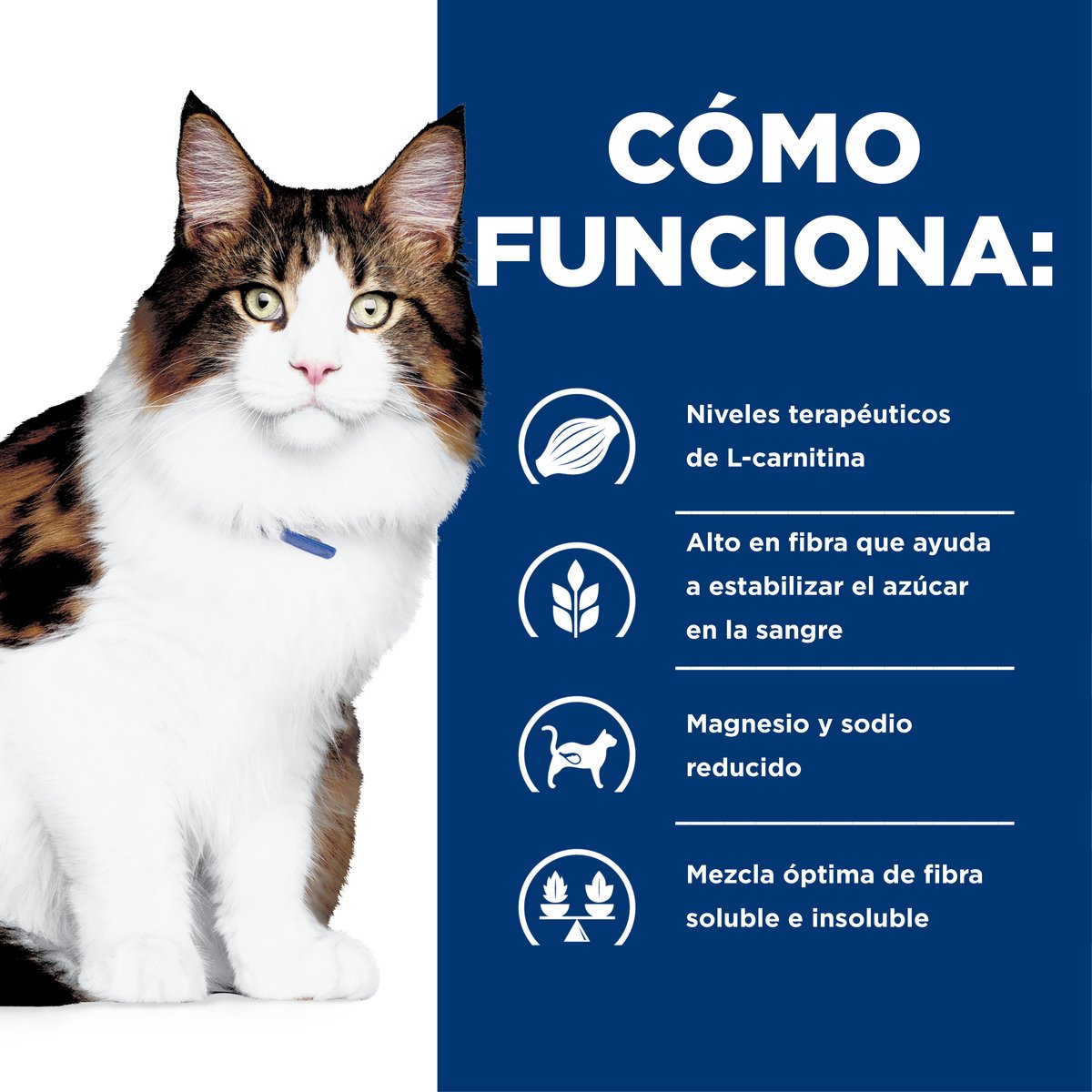 Alimento Hill's Prescription Diet w/d Multi-Beneficios Para Gato 3.9kg
