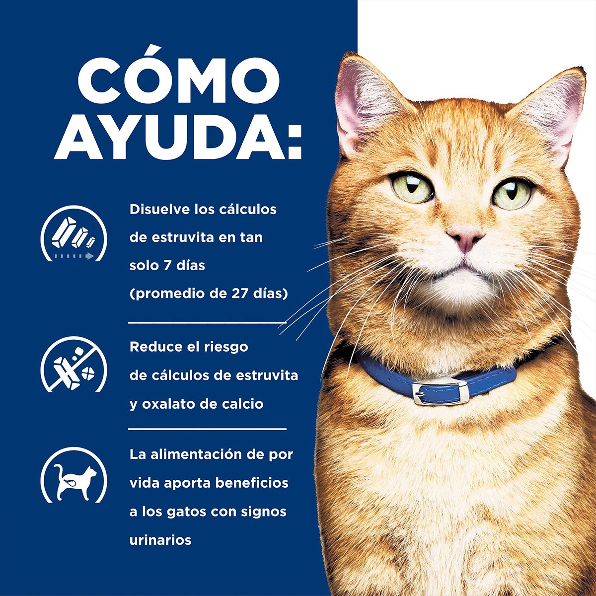 Hill's Prescription Diet c/d Cuidado Urinario Para Gato Lata 156g
