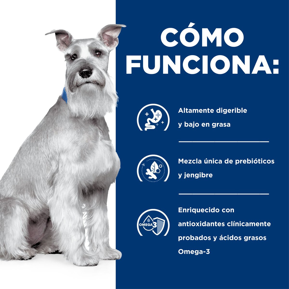 Alimento Hill's Prescription Diet i/d Cuidado Digestivo Low Fat Para Perro 3.9kg