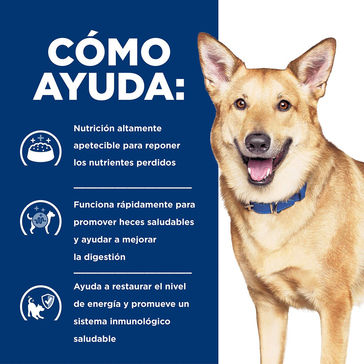 Alimento Hill's Prescription Diet i/d Cuidado Digestivo Para Perro