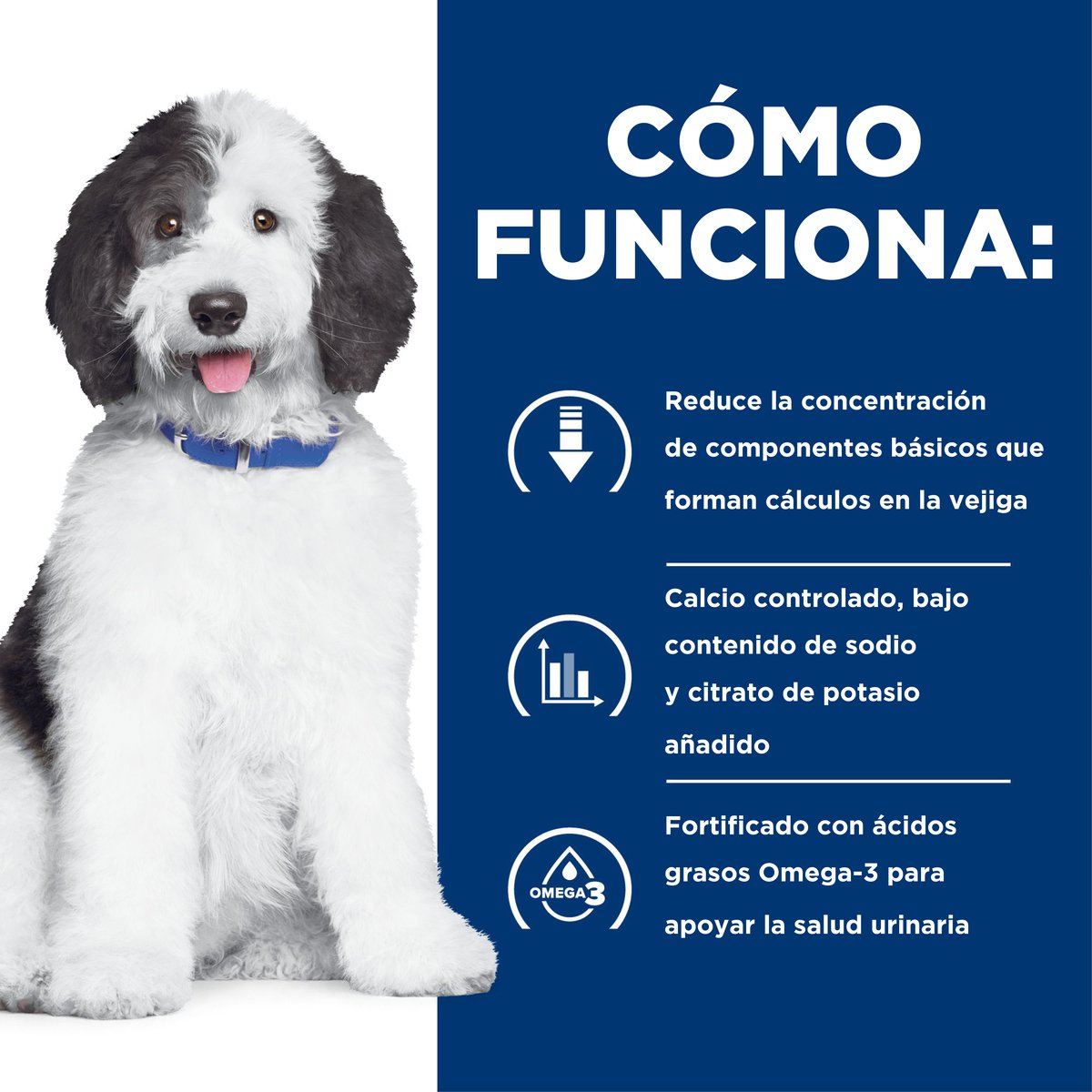 Alimento Hill's Prescription Diet c/d Cuidado Urinario Para Perro