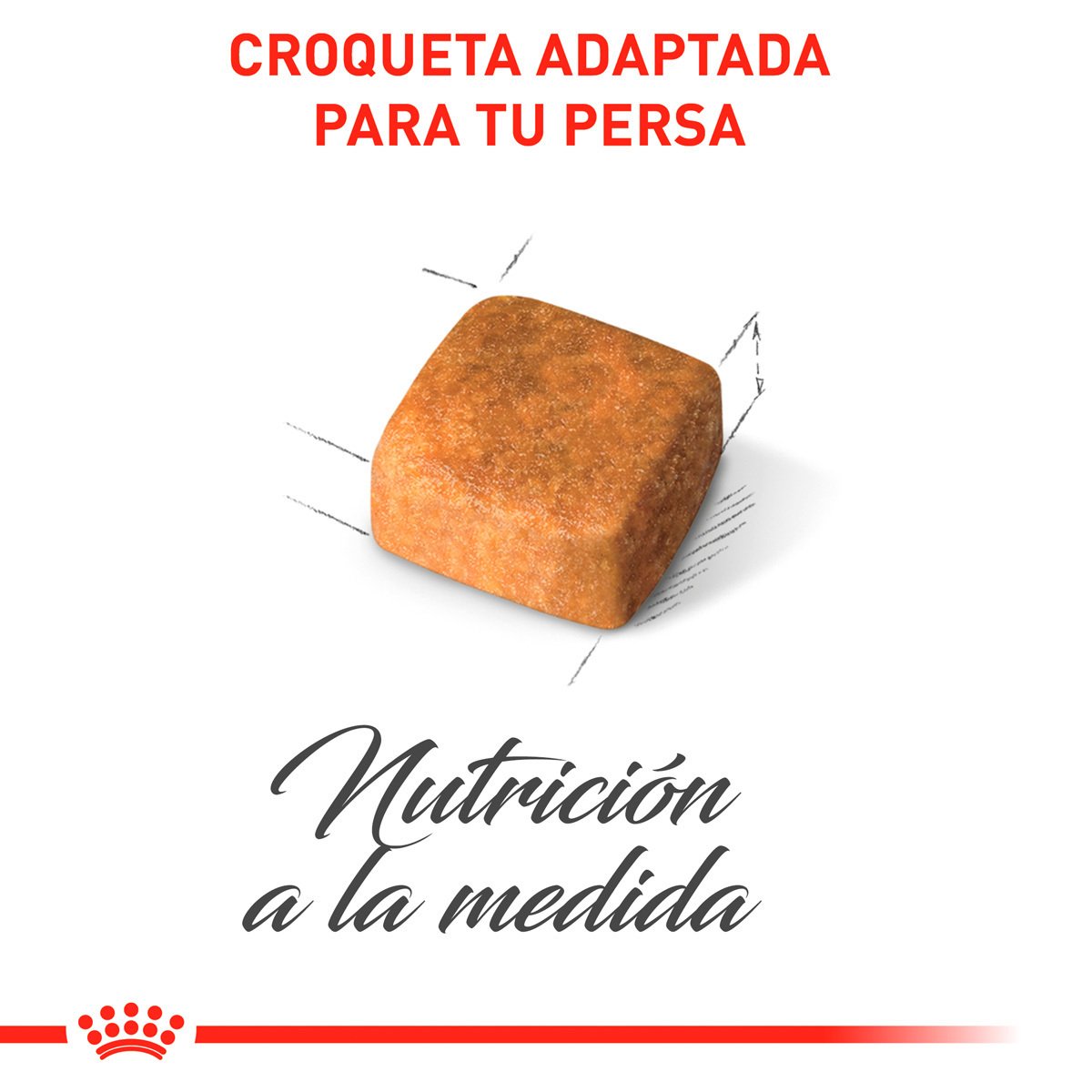 Alimento Royal Canin Persan Kitten 1.3kg (Bajo pedido)