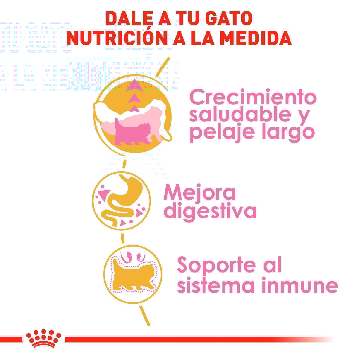 Alimento Royal Canin Persan Kitten 1.3kg (Bajo pedido)