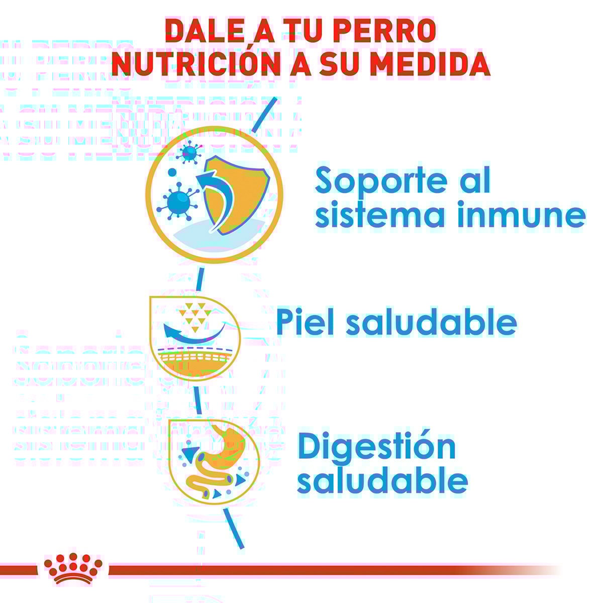 Alimento Royal Canin BHN Pug Puppy 1.13kg (Bajo pedido)