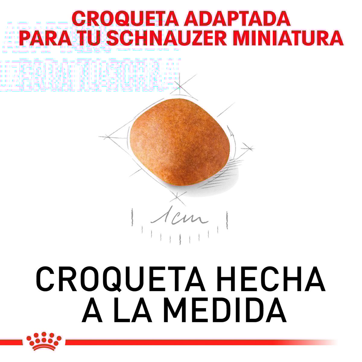 Alimento Royal Canin BHN Miniature Schnauzer Puppy 1.13kg (Bajo pedido)