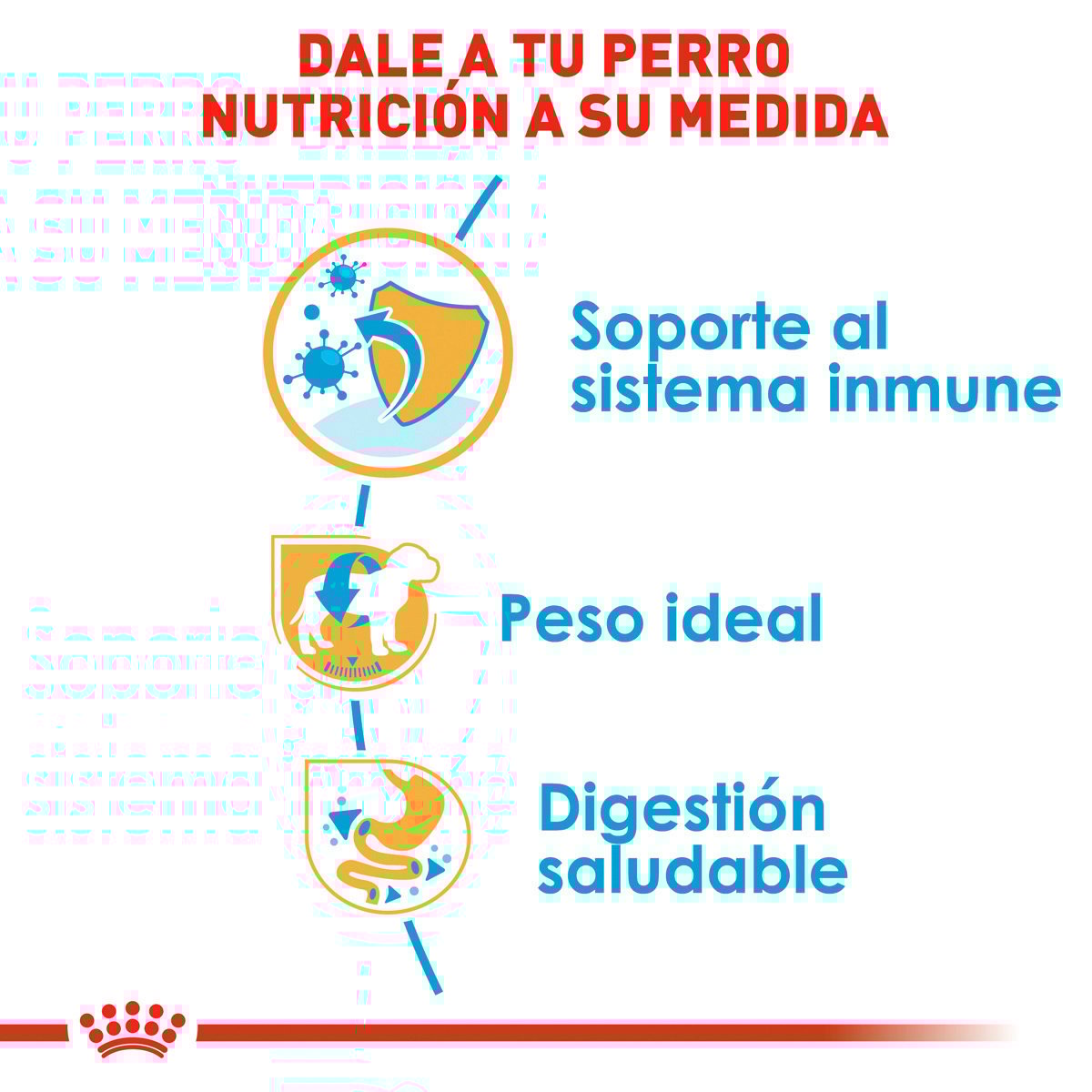 Alimento Royal Canin BHN Miniature Schnauzer Puppy 1.13kg (Bajo pedido)