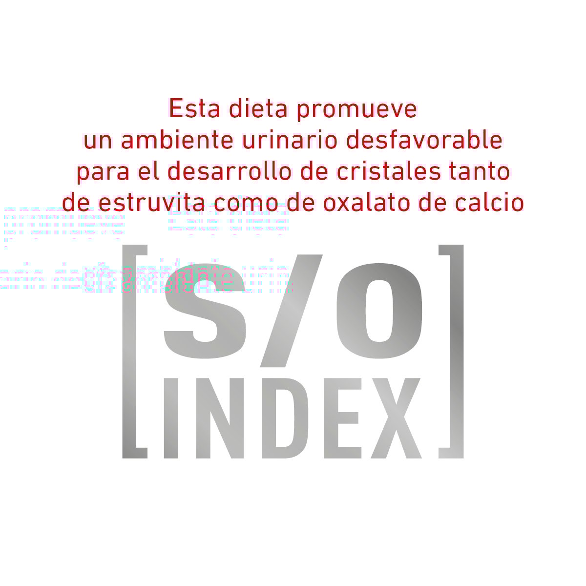 Alimento Royal Canin Gastrointestinal Para Gato Lata 145g