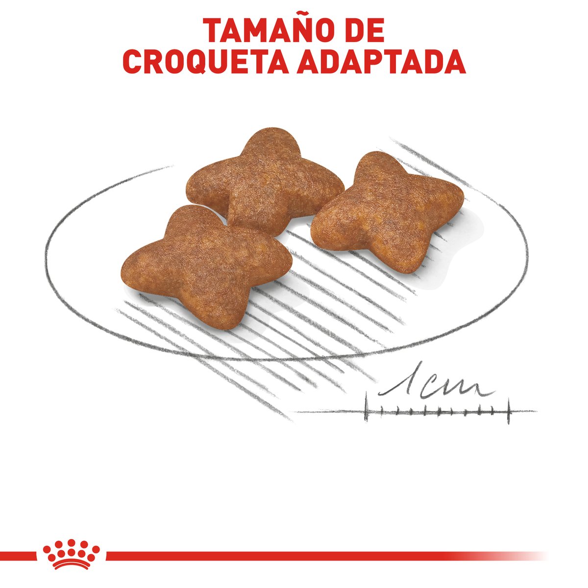 Alimento Royal Canin Adulto Razas Pequeñas