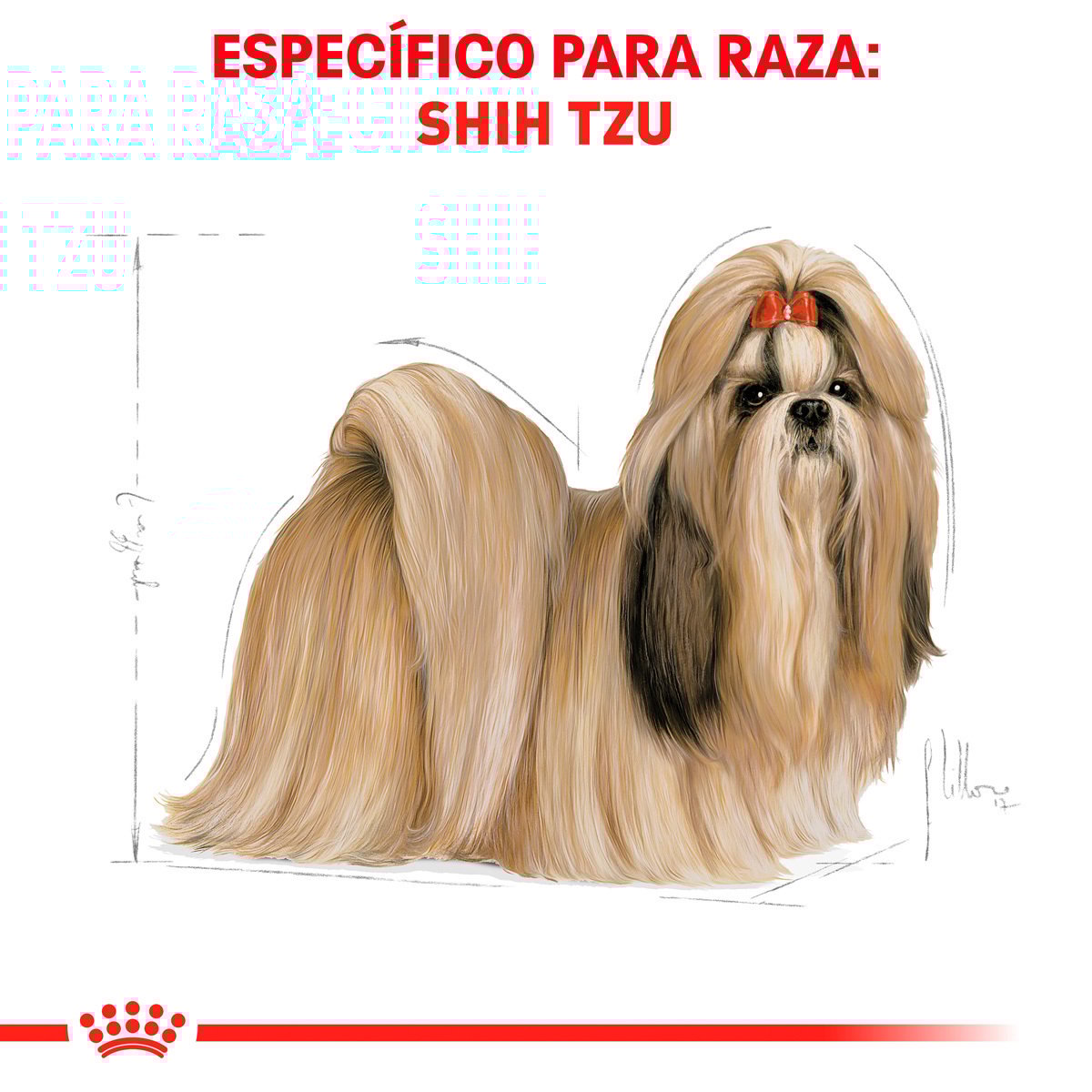 Alimento Royal Canin BHN Shih Tzu Adulto