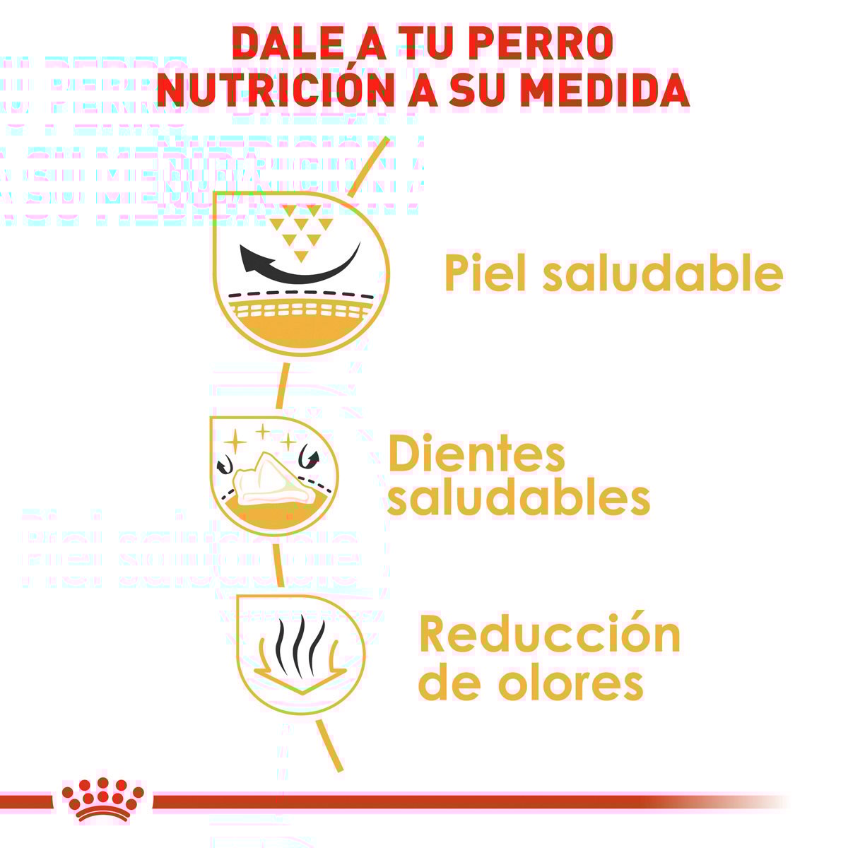 Alimento Royal Canin BHN Shih Tzu Adulto