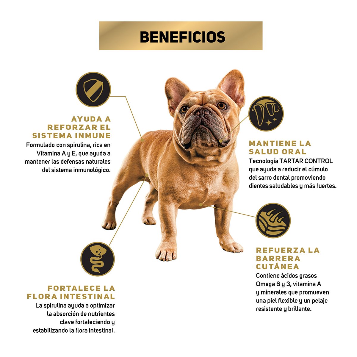 Alimento Pro Plan Adulto Razas Pequeñas