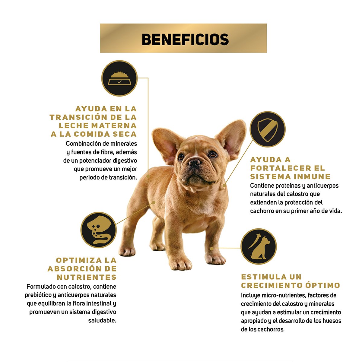 Alimento Pro Plan Cachorro Razas Pequeñas
