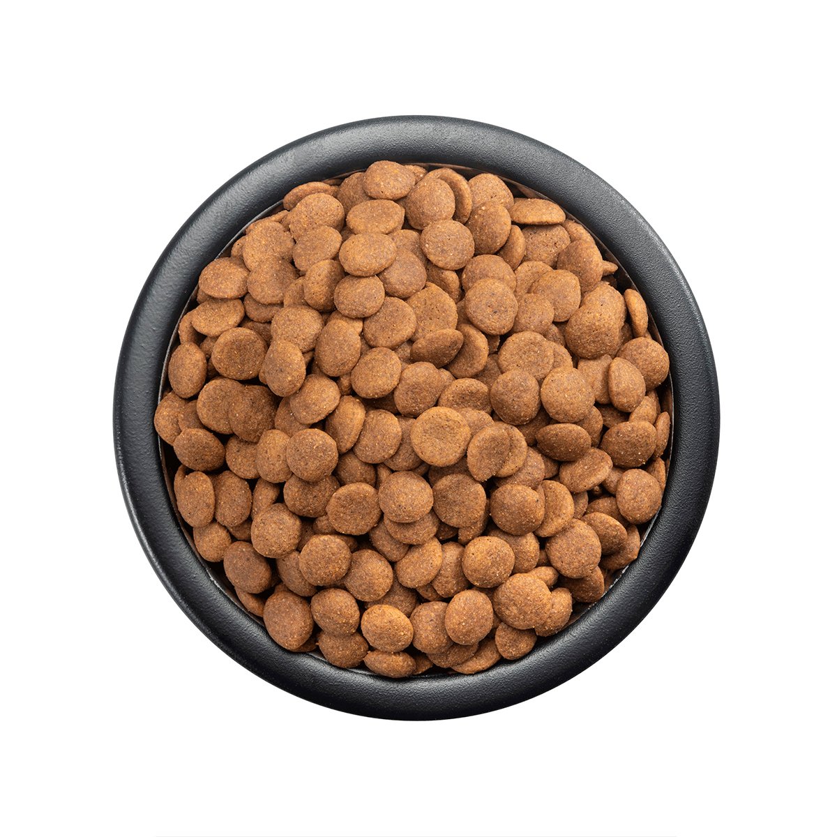 Alimento Pro Plan Cachorro Razas Grandes (Bajo pedido)