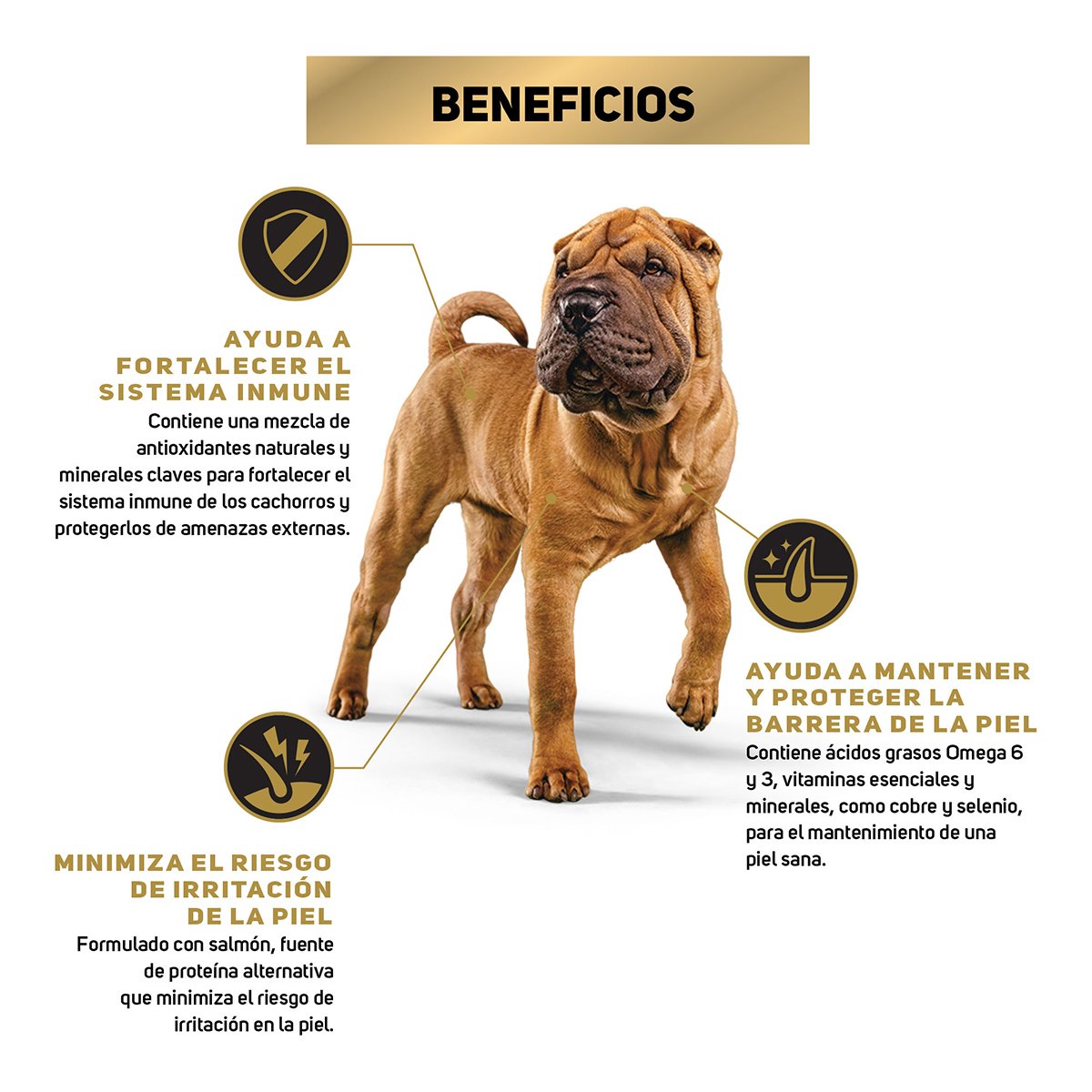 Alimento Pro Plan Sensitive Skin Cachorro